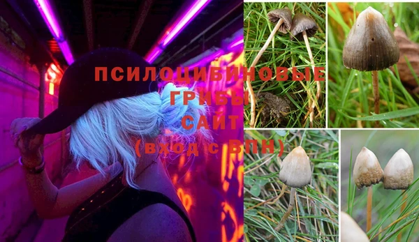 MDMA Premium VHQ Новокубанск