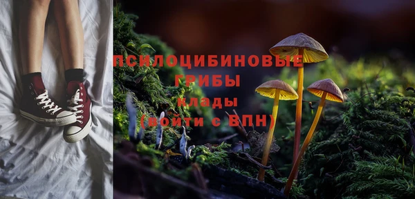 метадон Новозыбков