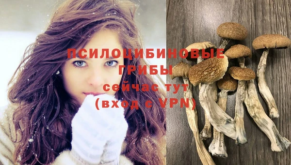 метадон Новозыбков