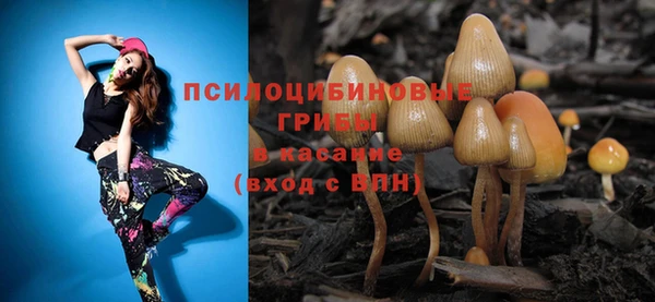 метадон Новозыбков
