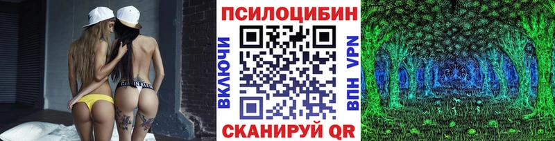 Псилоцибиновые грибы мицелий  цена   Хотьково 